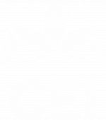 Logo CEI Branco