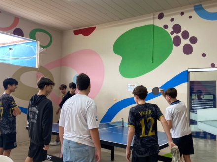 WhatsApp Image 2026-03-31 at 14.51.04